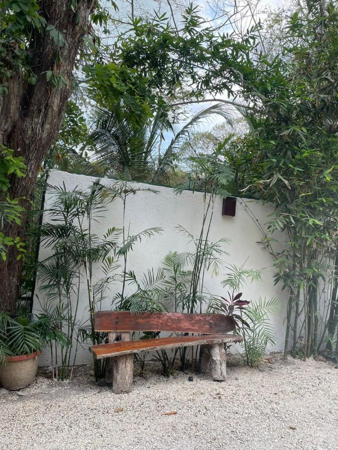 Hotel Diosa Del Agua Bacalar Exterior photo
